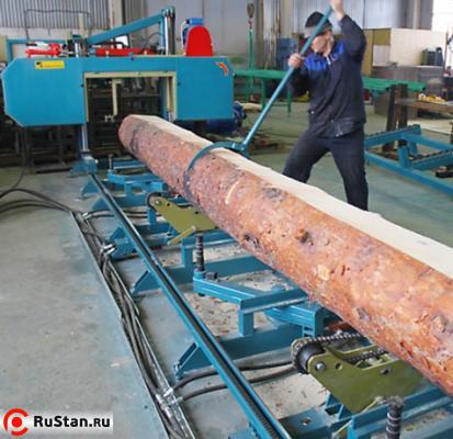 Вывешенное на цепях бревно легко кантуется одним оператором с помощью универсального крючкового захвата. фото №10 Авангард-ЛП-80 S.E.N. стандарт фото №10